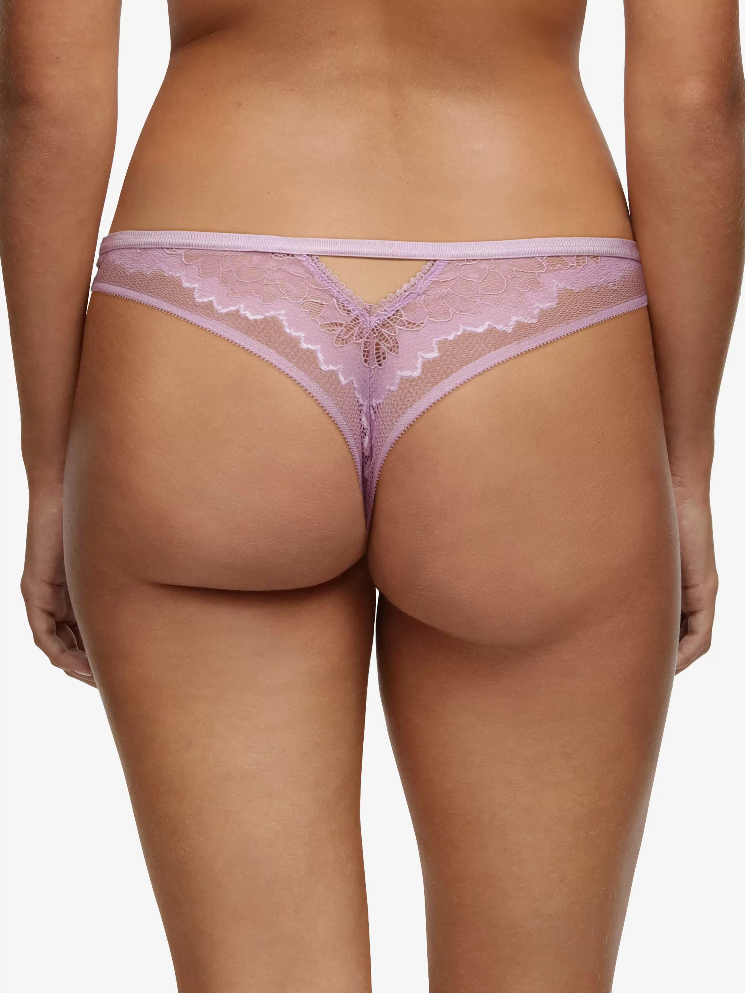 Darjeeling Monica - Tanga< Tangas